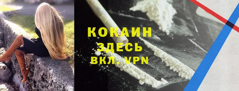 кракен ONION  купить закладку  Дегтярск  Cocaine FishScale 